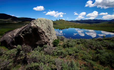 FILE PHOTO: Boulders deposited by a glacial icecap dot the Lamar Valley in Yellowstone National Park, Wyoming, U.S., June 23, 2011. REUTERS/Jim Urquhart/File Photo