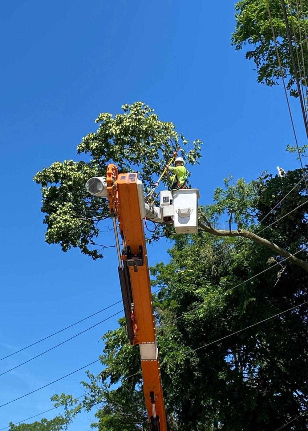An AEP worker efforts to to clear a tree from power lines following the June 14 storm that caused widespread electric outages.