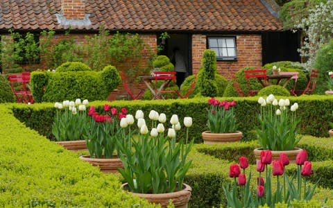 The garden at West Green House where operas are put on - Credit:  John Lawrence