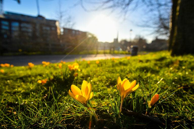 UK weather forecast: Hottest-ever February day may be recorded this week as Britain braces for balmy weekend