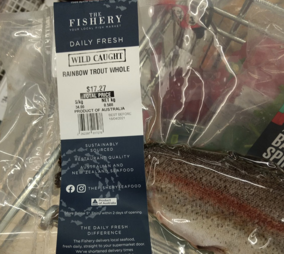 The rainbow trout incorrect 