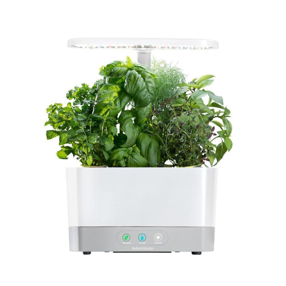 AeroGarden Harvest Indoor Garden With Seeds