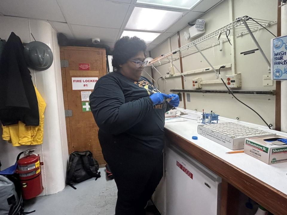 Anita Minniefield extracts gills from shrimp to preserve and send back to Marc Frischer's lab, where she and other researchers will test them for black gill.