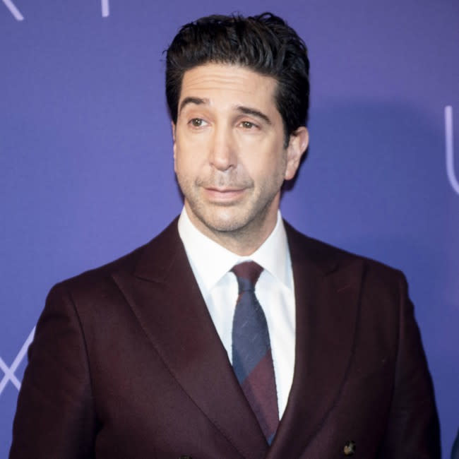 David Schwimmer credit:Bang Showbiz