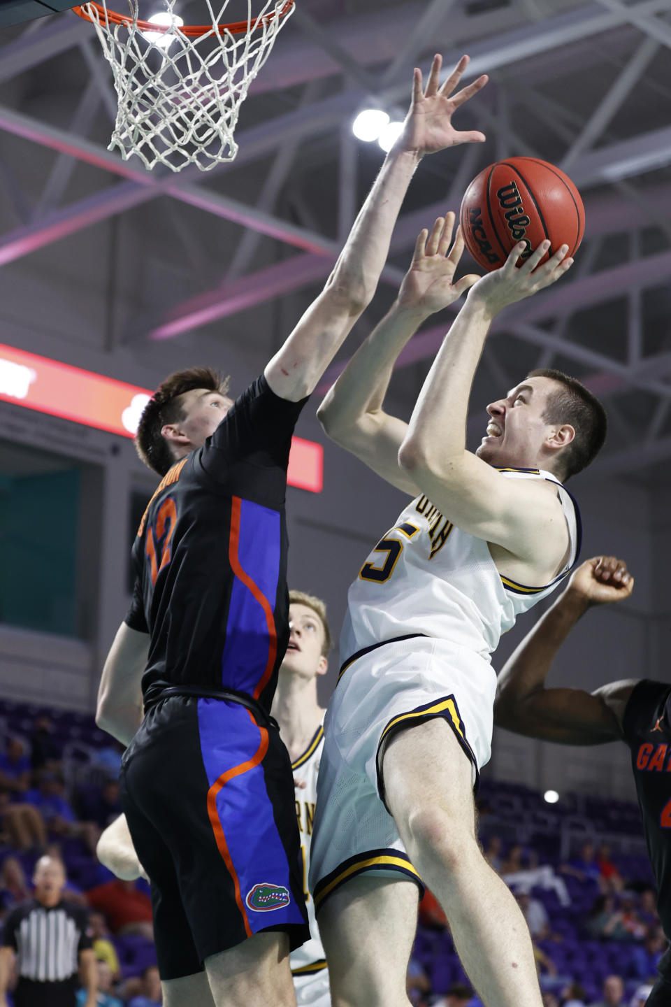 California forward Grant Anticevich, right, drives to the basket past Florida forward Colin Castleton (12) during the second half of an NCAA college basketball game on Monday, Nov. 22, 2021, in Fort Myers, Fla. (AP Photo/Scott Audette)