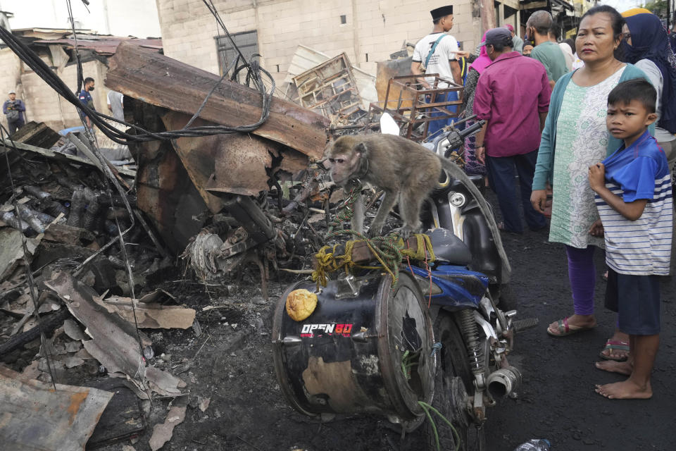 A pet macaque stands on its owner's motorbike as people inspect the damage to a neighborhood affected by a fuel depot fire in Jakarta, Indonesia, Saturday, March 4, 2023. A large fire broke out at the fuel storage depot in Indonesia's capital Friday, killing multiple people, injuring dozens of others and forcing the evacuation of thousands of nearby residents after spreading to their neighborhood, officials said. (AP Photo/Tatan Syuflana)