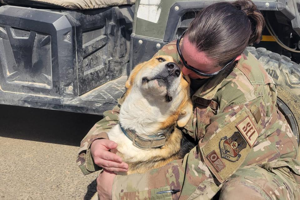 Air Force Sgt Working to Rescue dog
