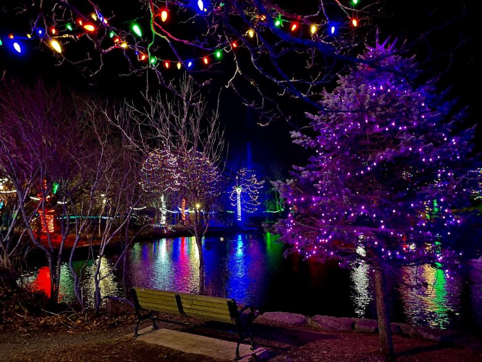 A stunning Christmasy night at Bowring Park, captured by Stuart Reid.