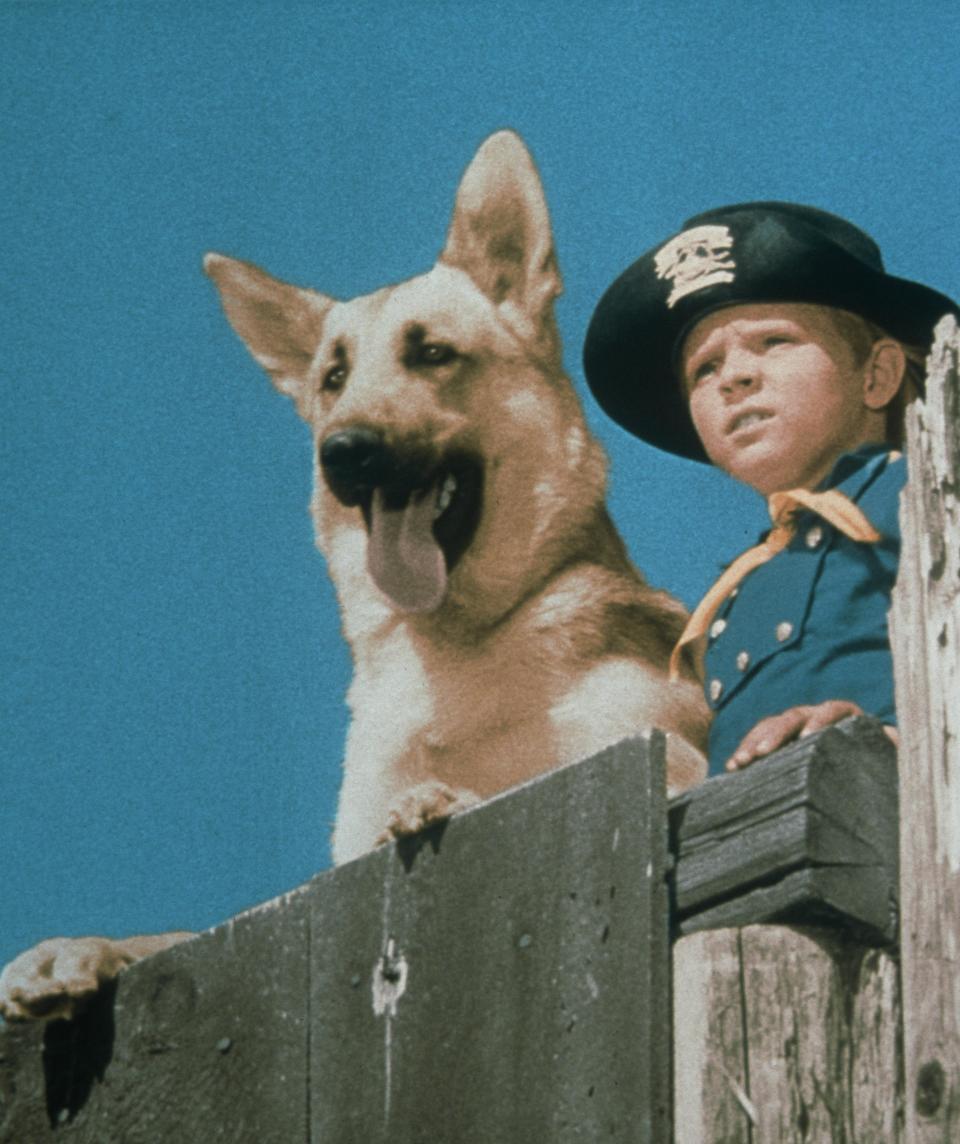 Rin Tin Tin Ii, Lee Aaker