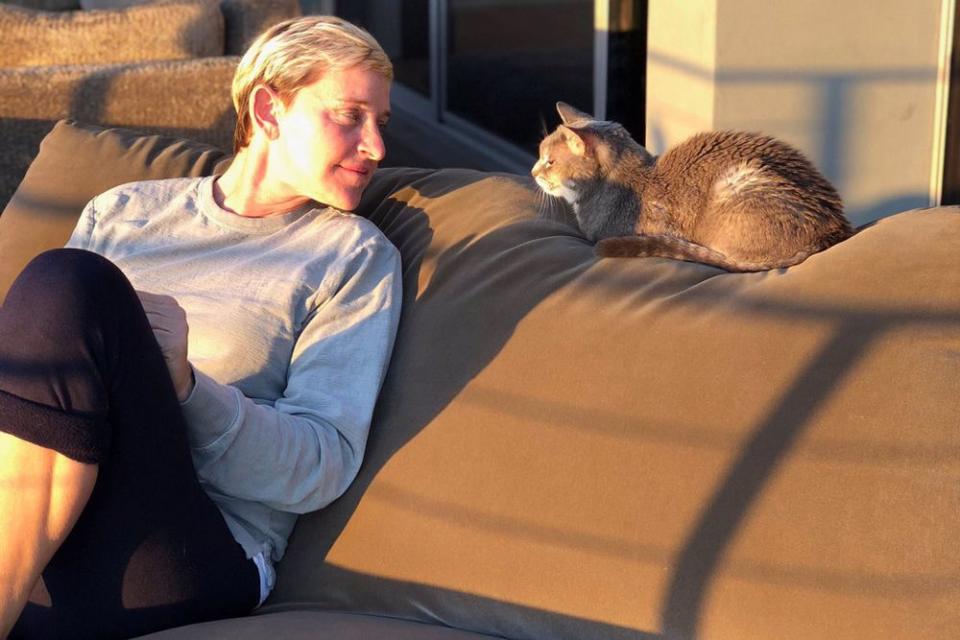 Ellen DeGeneres and cat Charlie | Ellen DeGeneres/Twitter