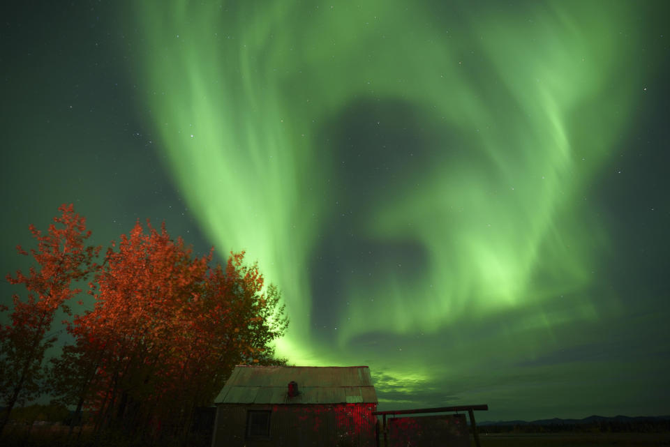 The northern lights animate the night sky on Sept. 8, 2022, in Bettles, Alaska. / Credit: Bonnie Jo Mount/The Washington Post via Getty Images