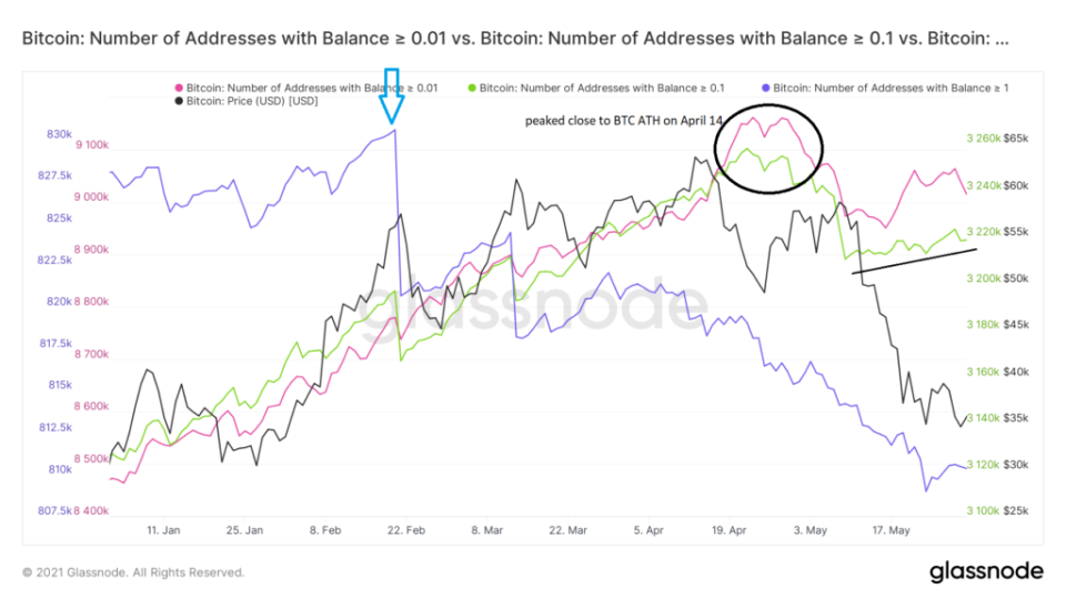 Bitcoin Adressen groß klein Verhalten Glassnode