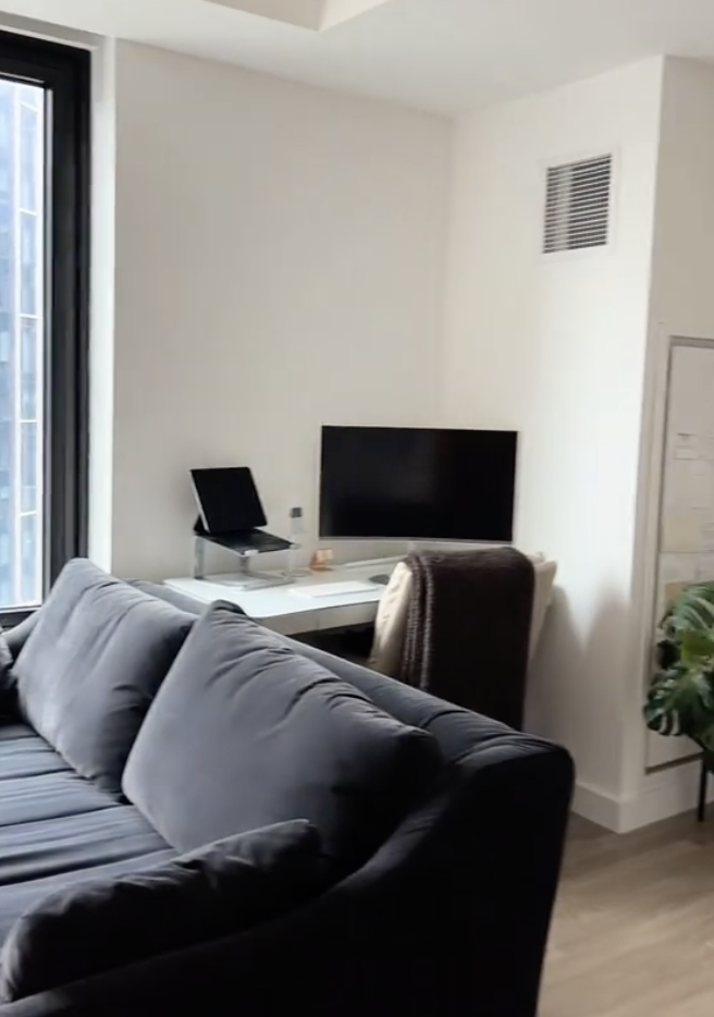 A modern living room with a sofa, TV on a stand, laptop on a desk, and a potted plant