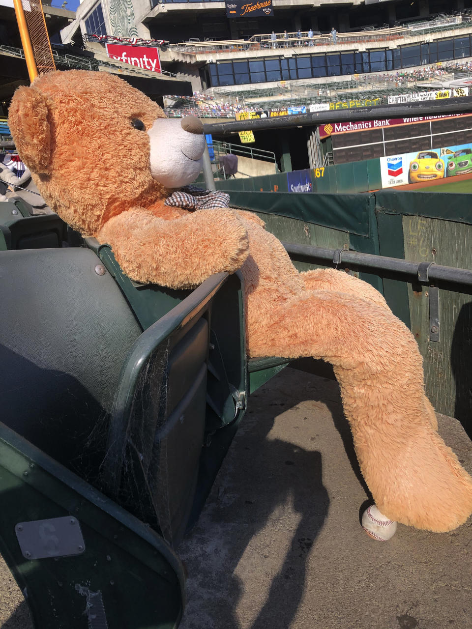 A baseball sits below a stuffed bear seated at Oakland Coliseum after Game 1 of an American League wild-card baseball series between the Oakland Athletics and the Chicago White Sox, Tuesday, Sept. 29, 2020, in Oakland, Calif. (AP Photo/Janie McCauley)