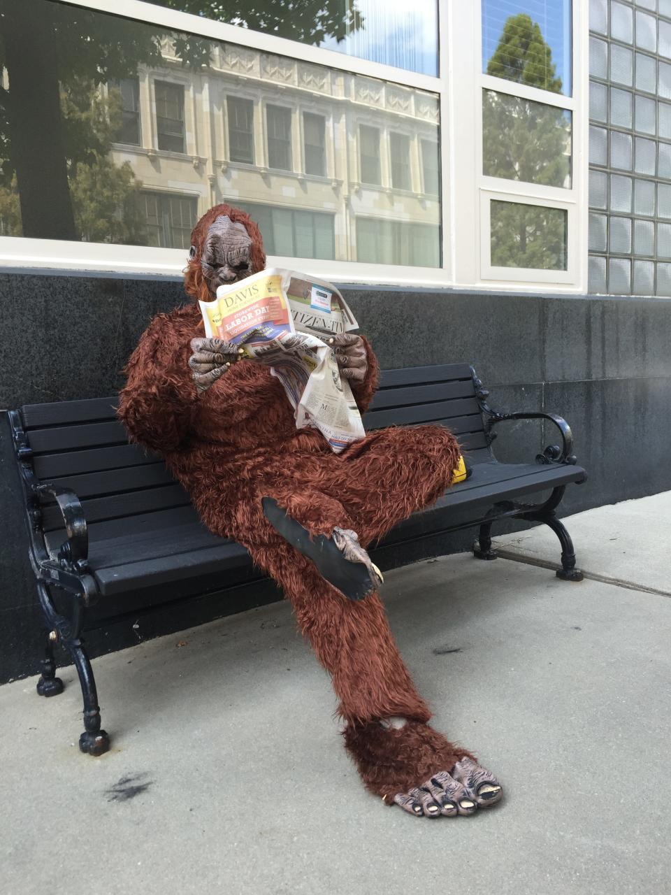 After a fellow reporter wrote a story about a report of Bigfoot in the mountains, columnist John Boyle donned the costume and did a walkabout in downtown Asheville.