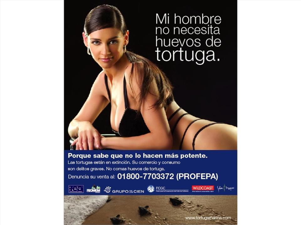 Poster aimed at halting the illegal consumption of endangered turtles eggs in Mexico, featuring Argentine model Dorismar, US  private conservation group Wildcoast photo, graphic element on white