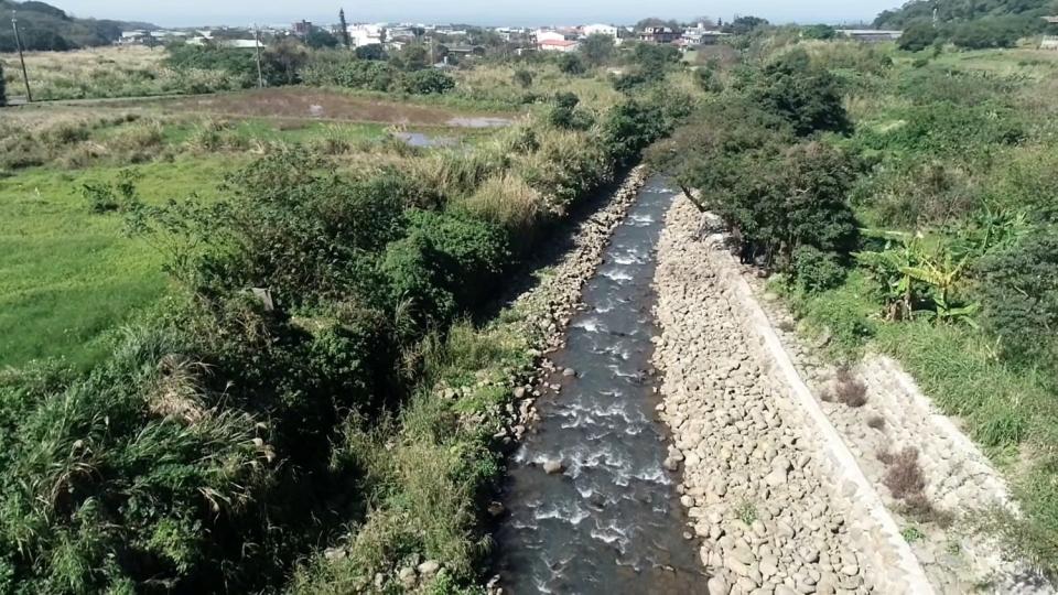 淡水區大屯溪砌石低水護岸保護既有茄冬樹免於傾倒。   圖：新北市水利局提供