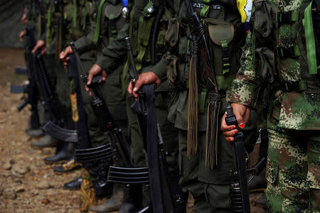 FARC members stand during a formation in a camp before moving to the transitional zone of Pueblo Nuevo, at the Los Robles FARC camp, Colombia, January 25, 2017. REUTERS/Federico Rios