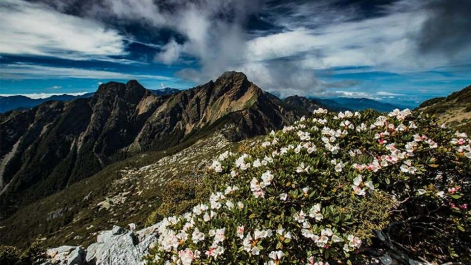 玉山主峰線是國內熱門的登山路線。（圖／玉管處官網）