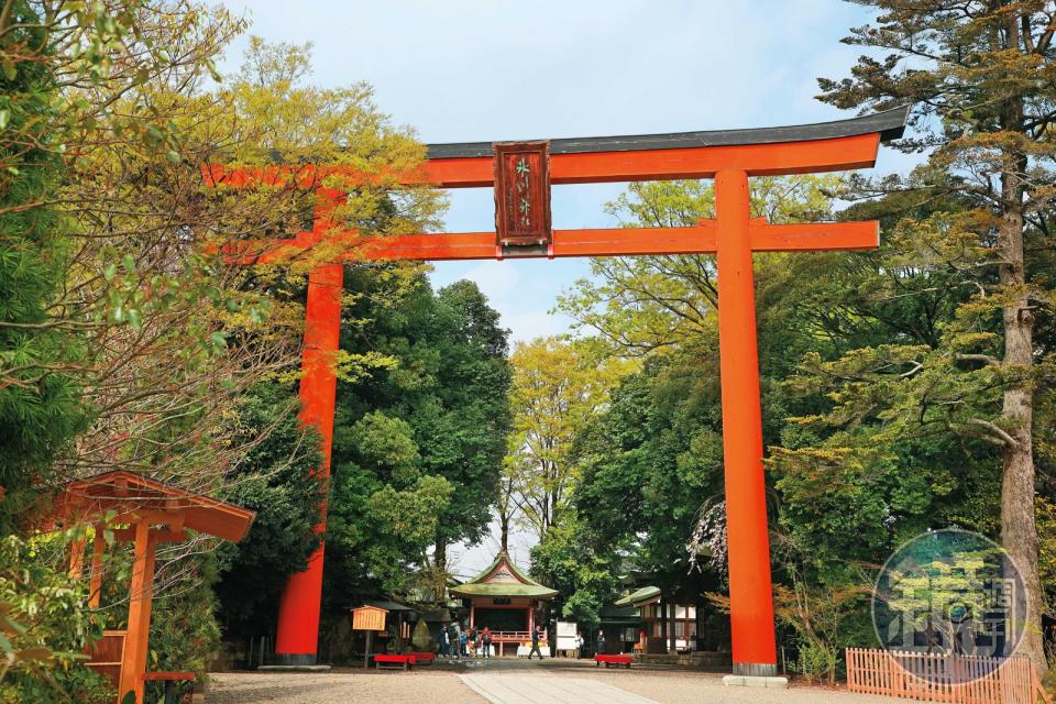  「冰川神社」的鳥居高達15公尺。