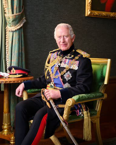 <p>Hugo Burnand/Royal Household</p> King Charles in a photo released for Armed Forces Day 2024