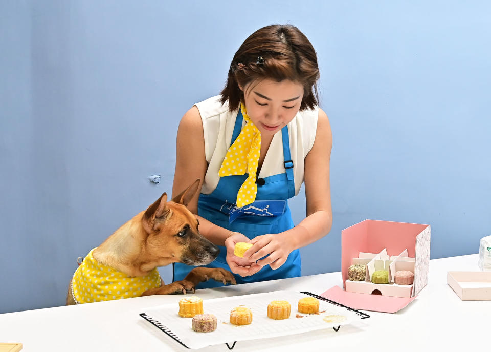 米可白做寵物月餅，愛犬瞬間吃光。（圖／台視）