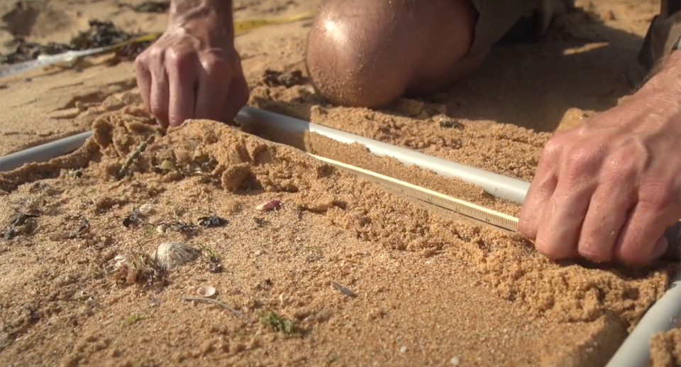 A conservationist combs through sand looking for microplastics. 