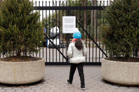 A child walks toward the gates of the National Zoo which is closed due to the partial government shutdown in Washington, U.S., January 2, 2019. REUTERS/Kevin Lamarque