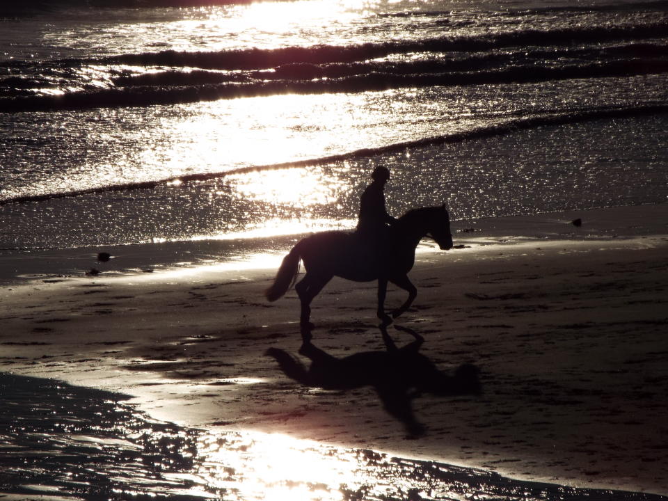 A horse seen at the beach with the sun setting. 