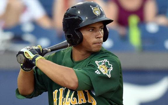 Cleveland Indians prospect Francisco Mejia extended his hitting streak to 50 games on Saturday, though it may come with an asterisk. (Lynchburg Hillcats)