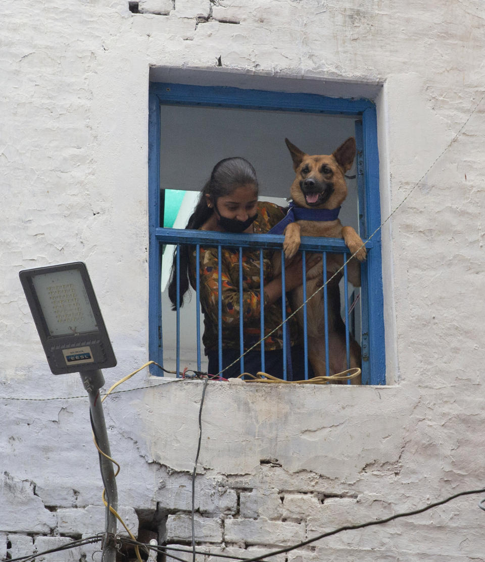 A girl looks out from a window with a dog during lockdown to prevent the spread of new coronavirus in Prayagraj, India, Saturday, April 25, 2020. As governments around the world try to slow the spread of the coronavirus, India has launched one of the most draconian social experiments in history, locking down its entire population, including an estimated 176 million people who struggle to survive on $1.90 a day or less. (AP Photo/Rajesh Kumar Singh)