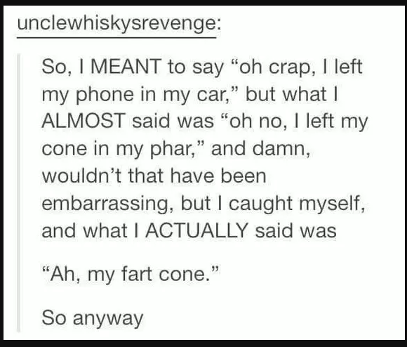 Text post with a humorous anecdote about nearly saying "my fart cone" instead of "my phone in my car."