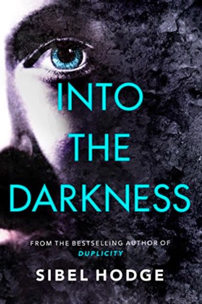 Into the Darkness by Sibel Hodge