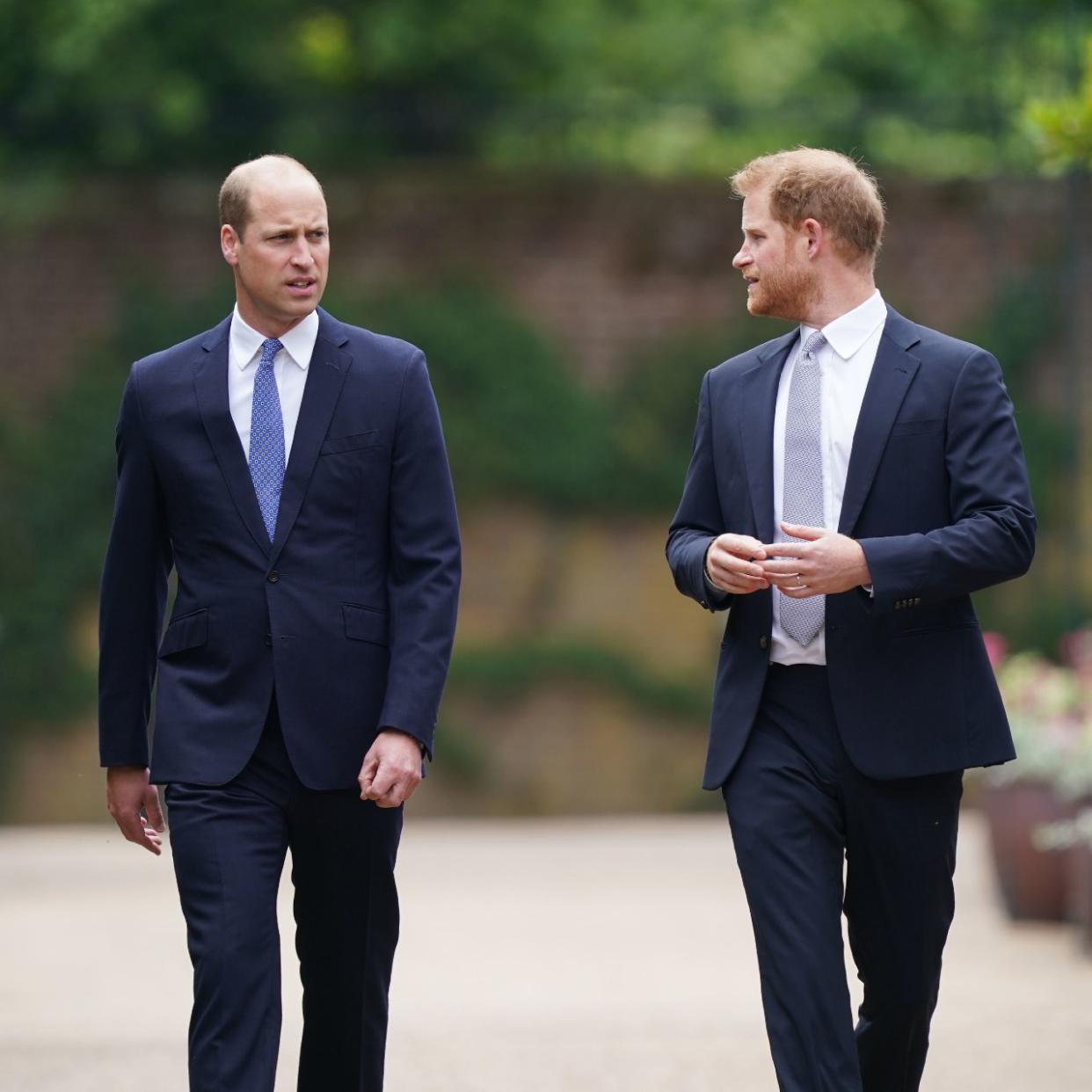  Prince William and Prince Harry. 