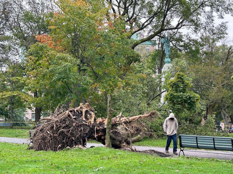 The clean-up of trees downed by post-tropical storm Lee over the weekend continues Monday and power crews continue to work to restore power to the final customers still offline.