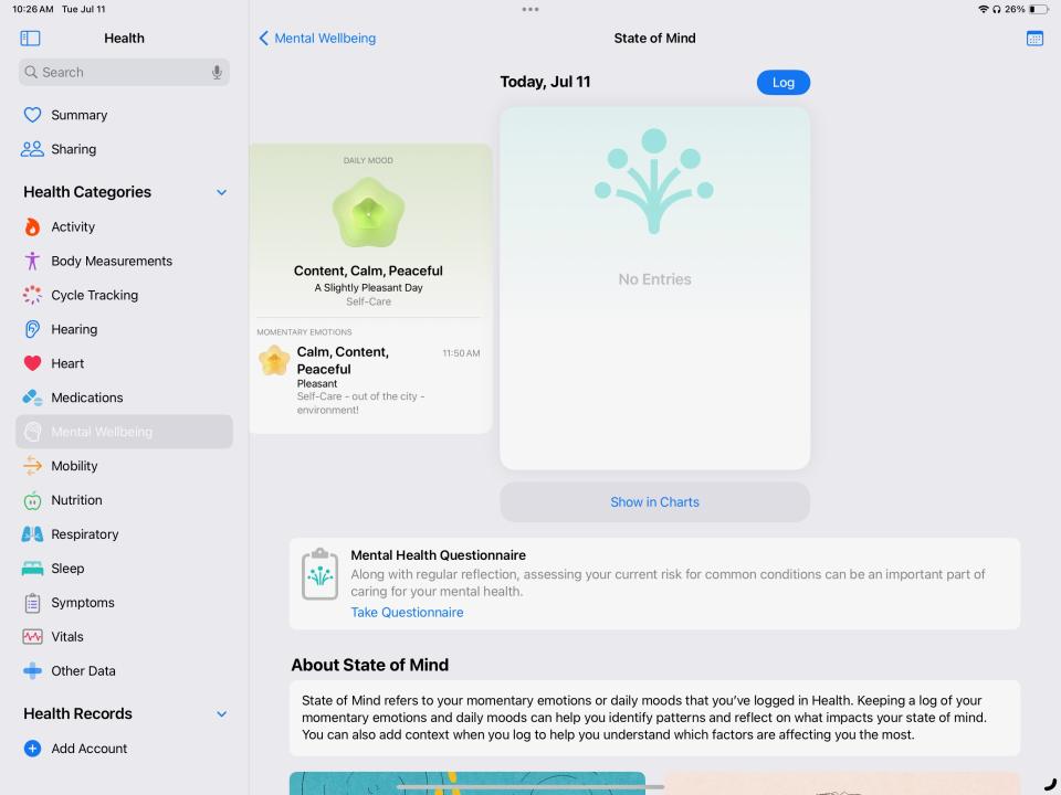 iPadOS 17 Health app