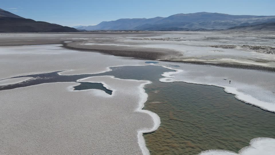 The newly discovered giant stromatolites in Puna de Atacama are mostly composed of the minerals gypsum and rock salt. - Brian Hynek