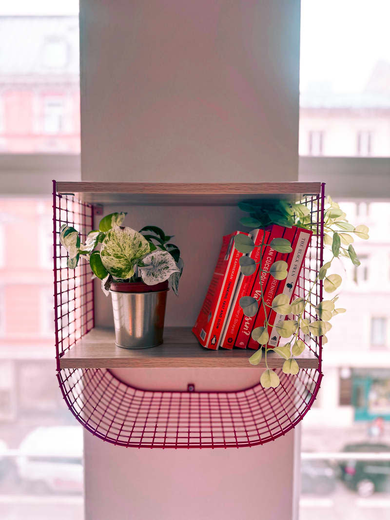 Plants and books in shelving.