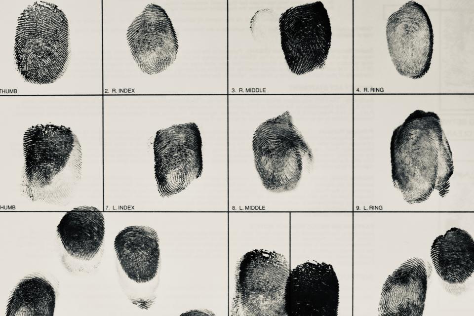Eine neue KI soll erkennen, wenn Fingerabdrücke von einer Person, aber von zwei unterschiedlichen Fingern, stammt