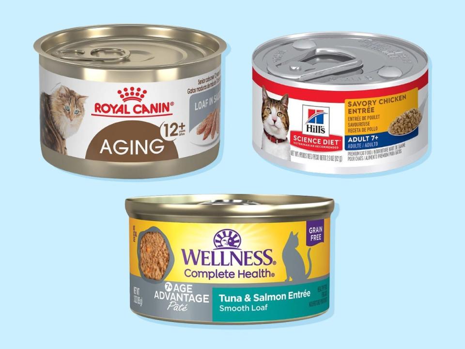 Three cans of the best wet senior cat food from Royal Canin, Wellness, and Hill's.