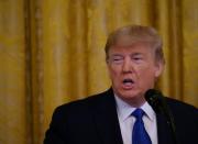 US President Donald Trump addresses a White House meeting on human trafficking before rescinding restrictions on landmines