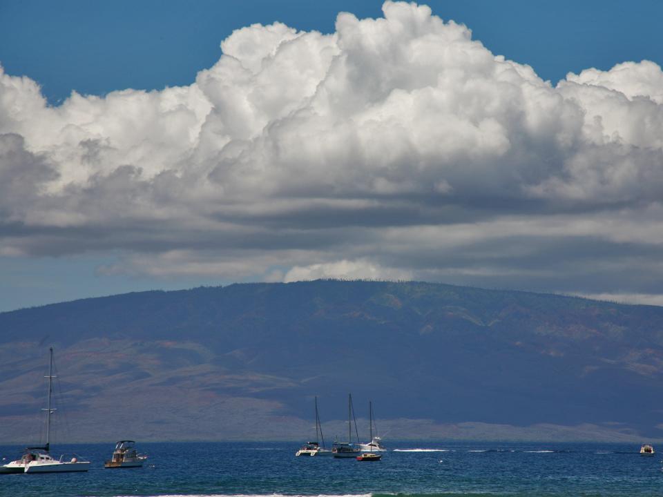 Île hawaïenne de Lanai appartenant à Larry Ellison.