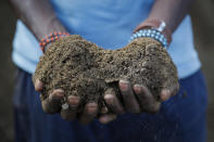 FILE - A farmer holds livestock manure that he will use to fertilize crops, due to the increased cost of fertilizer that he says he now can't afford to purchase, in Kiambu, near Nairobi, in Kenya Thursday, March 31, 2022. Together, Russia and Ukraine export nearly a third of the world’s wheat and barley, more than half its sunflower oil and are big suppliers of corn. Russia is the top global fertilizer producer. (AP Photo/Brian Inganga, File)