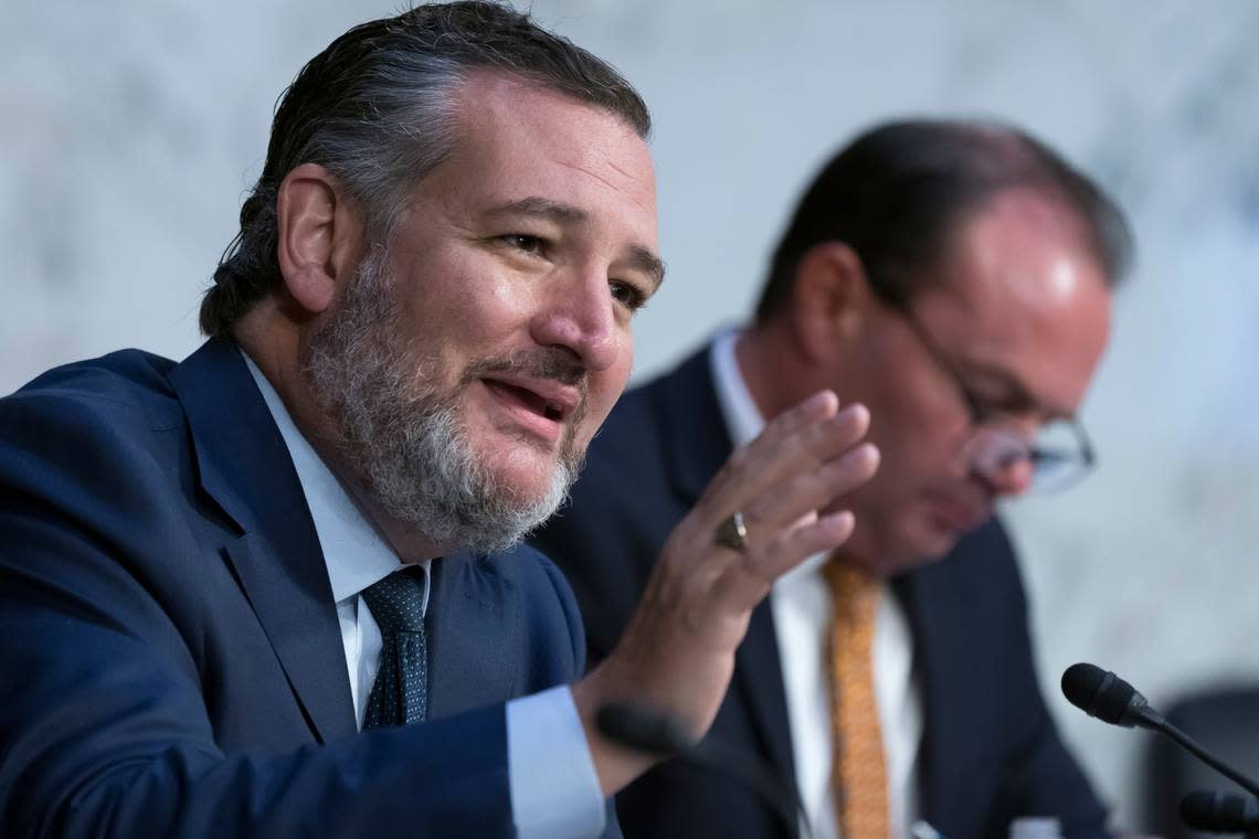 Sen. Ted Cruz, R-Texas, during a Senate hearing in August.