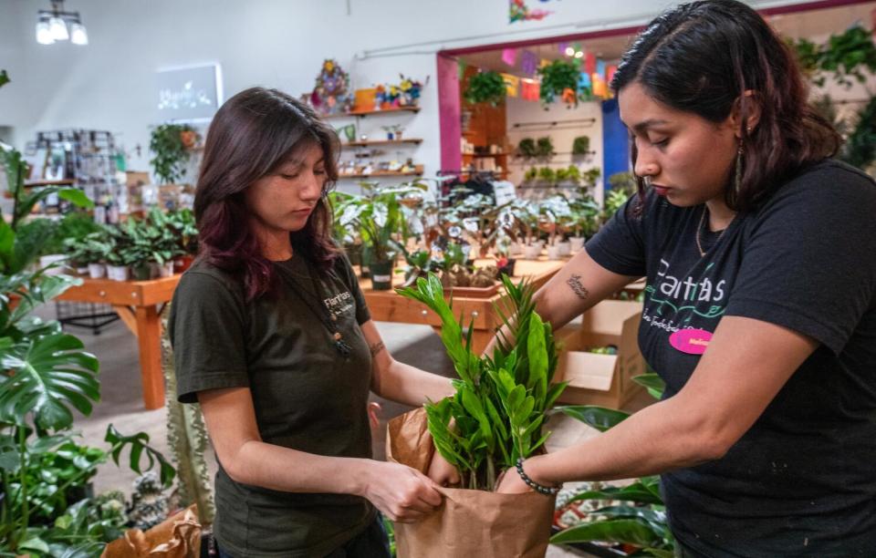 Two people place a plant in a paper bag in a plant shop.