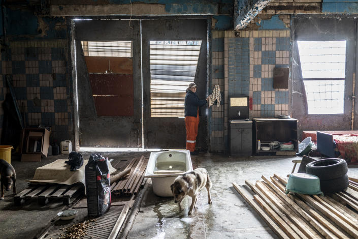Esbitlana, one of the owners of the Mishan Animal Shelter, which is in an old fire station, tends to the dogs.