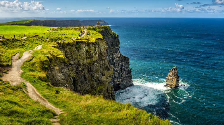 Ireland cliffs ocean lush grass