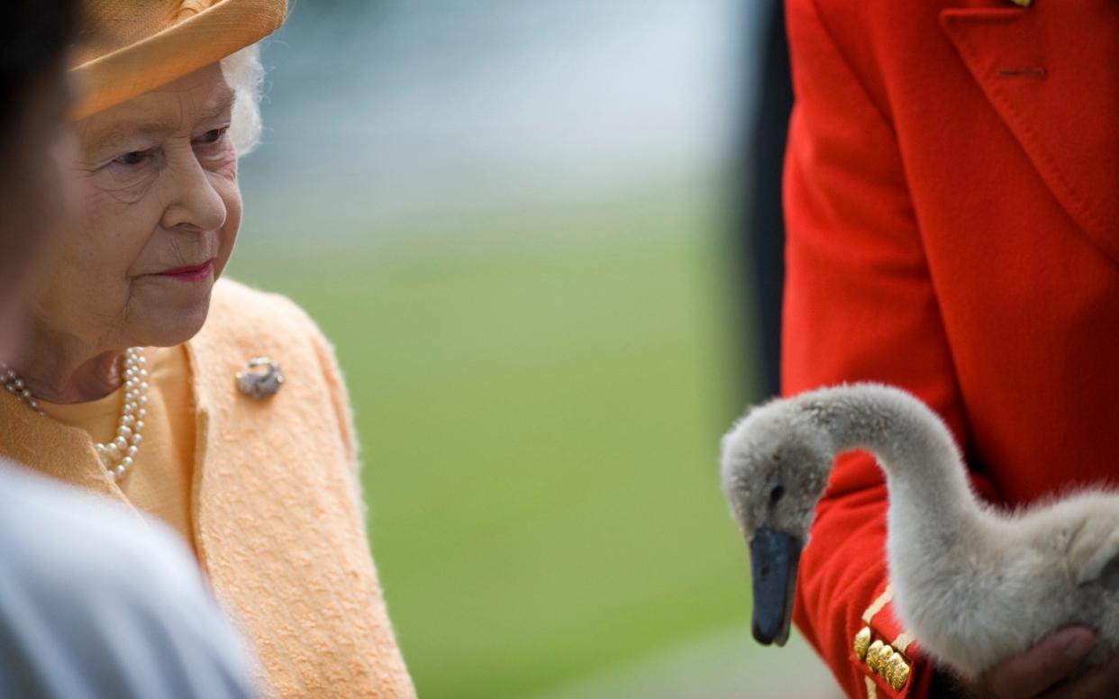 The Queen attends a Swan Upping Meet along the river Thames in 2009 - Geoff Pugh