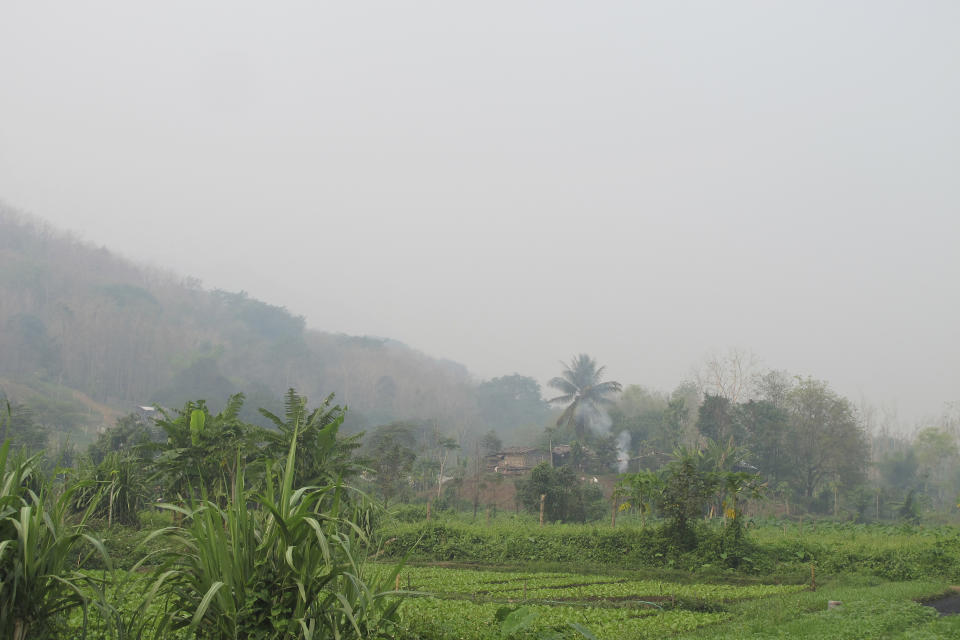 Smoke from trash burning in a village outside the Lao UNESCO heritage site of Luang Prabang, Laos joins the heavy haze over much of inland Southeast Asia due to crop and waste burning, Saturday, April 6, 2024. ASEAN finance ministers met in Luang Prabang this week to discuss economic and financial issues including ways to help finance reductions in carbon emissions that contribute to global warming. (AP Photo/Elaine Kurtenbach)