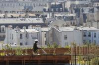 A man waters plants in planter boxes on the 700 square metre (7500 square feet) rooftop of the Bon Marche, where the store's employees grow some 60 kinds of fruits and vegetables such as strawberries, zucchinis, mint and other herbs in their urban garden with a view of the capital in Paris, France, August 26, 2016. REUTERS/Regis Duvignau